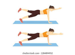 Beyond Flexibility: Building Resilient Bodies through Control and Stability